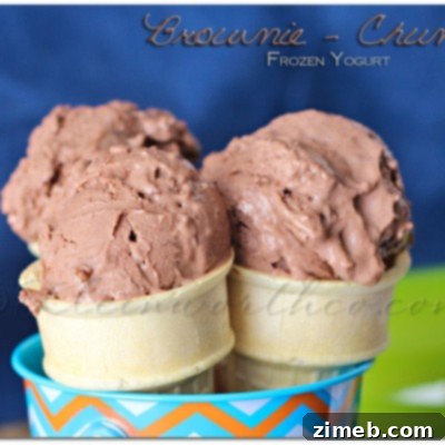 Brownie Chunk FroYo 17 Brownie Chunk Frozen Yogurt, a delightful no-churn summer dessert with rich brownie pieces.