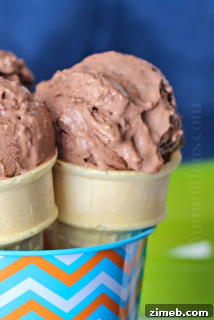 Brownie Chunk FroYo 3 A cone filled with creamy Brownie Chunk Frozen Yogurt, ready to be enjoyed.