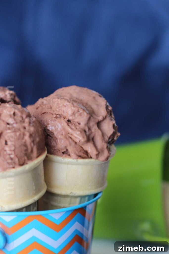 Brownie Chunk FroYo 4 Homemade Brownie Chunk Frozen Yogurt in a container, showing its rich, swirled texture.