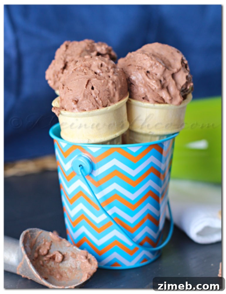 Brownie Chunk FroYo 5 A generous serving of Brownie Chunk Frozen Yogurt, topped with extra brownie pieces.
