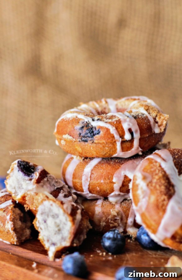 Blueberry Donut Recipe
