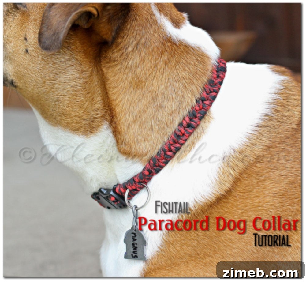 Handmade Fishtail Paracord Dog Collar 2 Completed Fishtail Paracord Dog Collar with ID Tag D-Ring