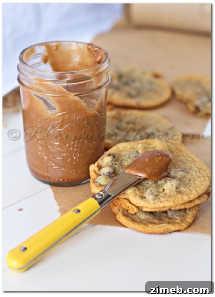Chocolate Chip Cookie Butter 2 Chocolate Chip Cookie Cookie Butter- homemade cookie butter made with chocolate chip cookies