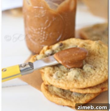Chocolate Chip Cookie Butter 4 Homemade Chocolate Chip Cookie Butter