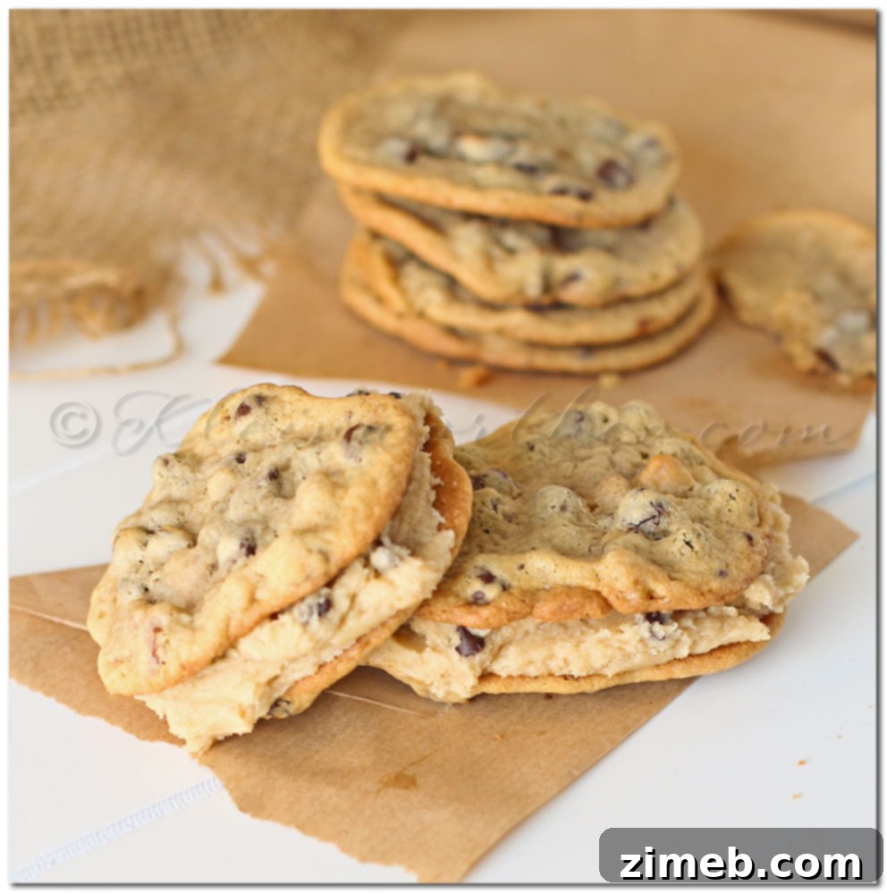 Delicious Chocolate Chip Cookie Dough Sandwich Cookie
