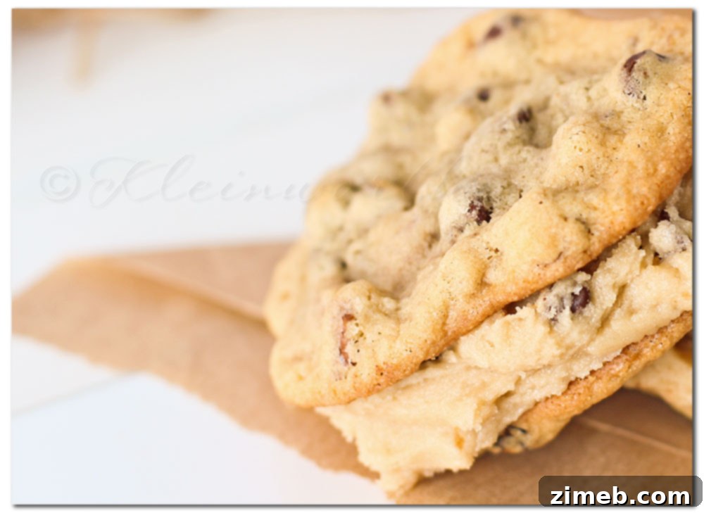 Scavenger Hunt Sunday September 15 2013 4 Delicious Chocolate Chip Cookie Dough Sandwich Cookies