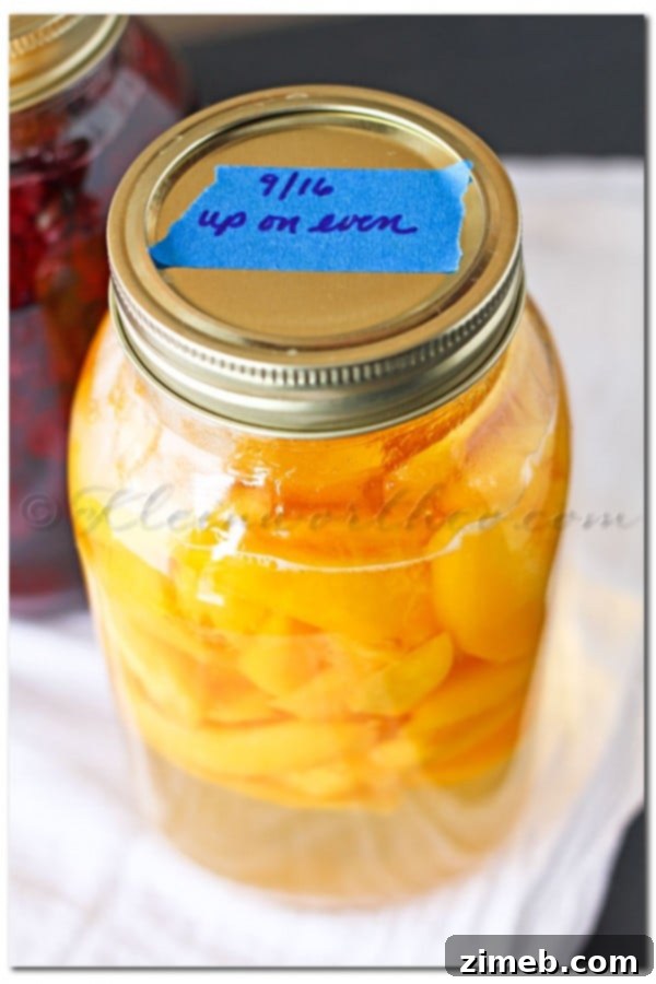 Craft Your Own Spirits 6 Homemade fruit liquors in various stages of infusion