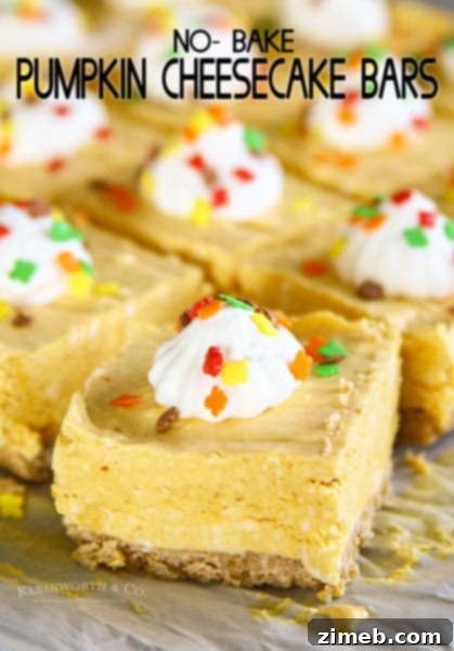 Irresistible No-Bake Chocolate Caramel Oat Bars 12 No-Bake Pumpkin Cheesecake Bars