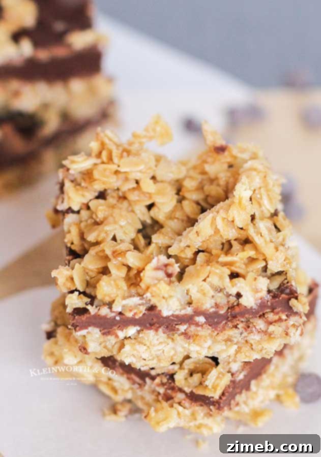 Irresistible No-Bake Chocolate Caramel Oat Bars 6 Easy No Bake Chocolate Caramel Oat Bars for Any Occasion