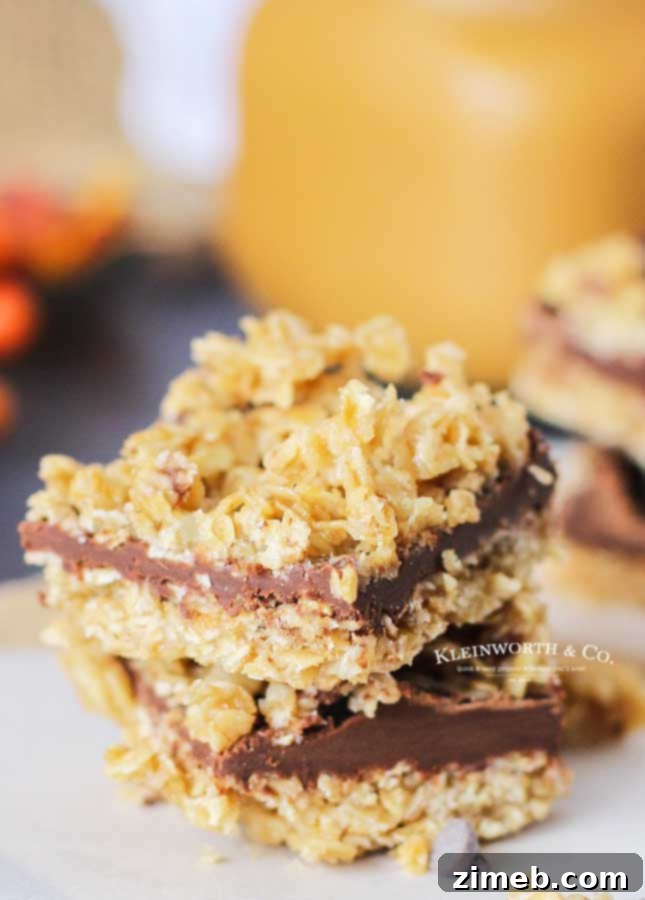 Irresistible No-Bake Chocolate Caramel Oat Bars 7 Fall Dessert - No-Bake Chocolate Caramel Oat Bars