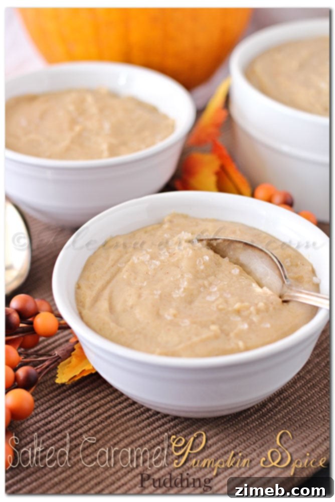 Decadent Salted Caramel Pumpkin Spice Pudding 3 Close-up view of Salted Caramel Pumpkin Spice Pudding, showcasing its smooth texture and inviting golden hue, ready to be enjoyed.