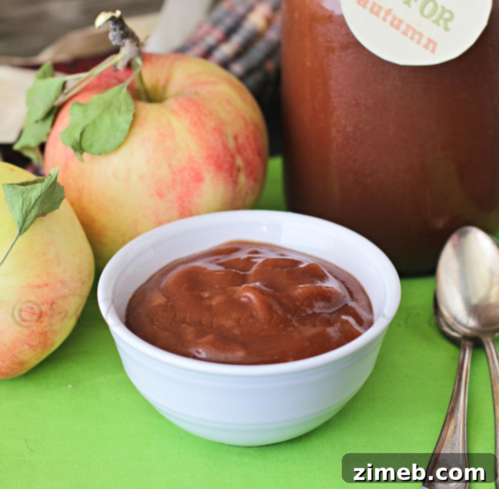 Easy Crock Pot Cinnamon & Brown Sugar Applesauce 7 A large batch of homemade crock pot applesauce ready to be stored.