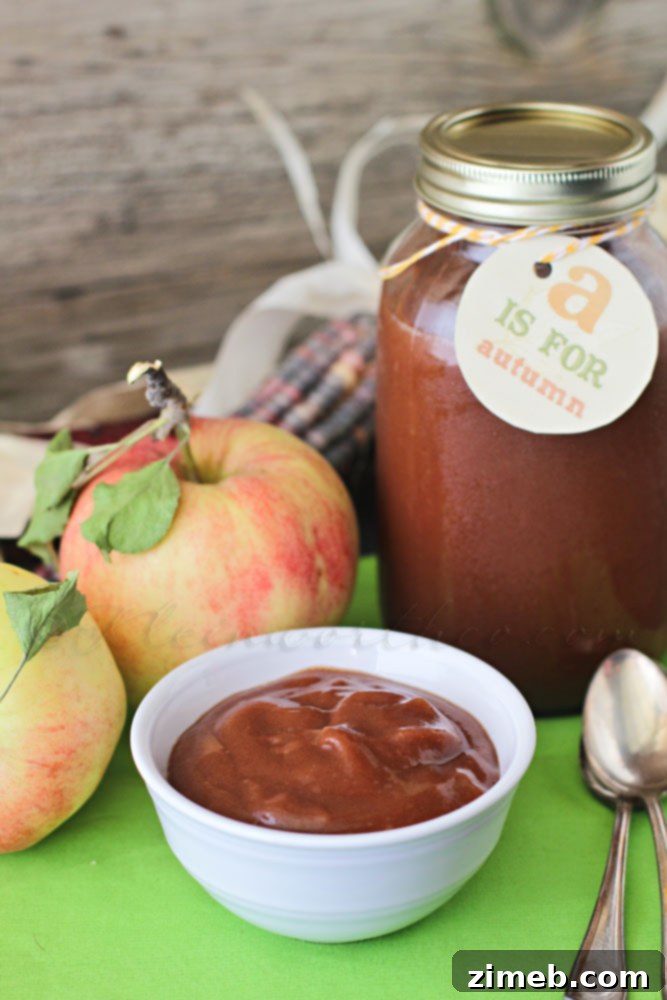 Crock Pot Cinnamon & Brown Sugar Applesauce Rich, homemade crock pot applesauce with cinnamon and brown sugar in jars.