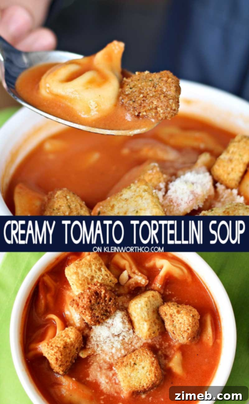 Velvety Tomato Tortellini Soup 10 Creamy Tomato Tortellini Soup