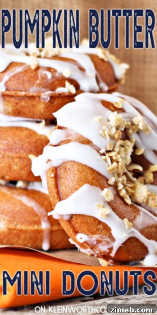 Pumpkin Butter Donuts