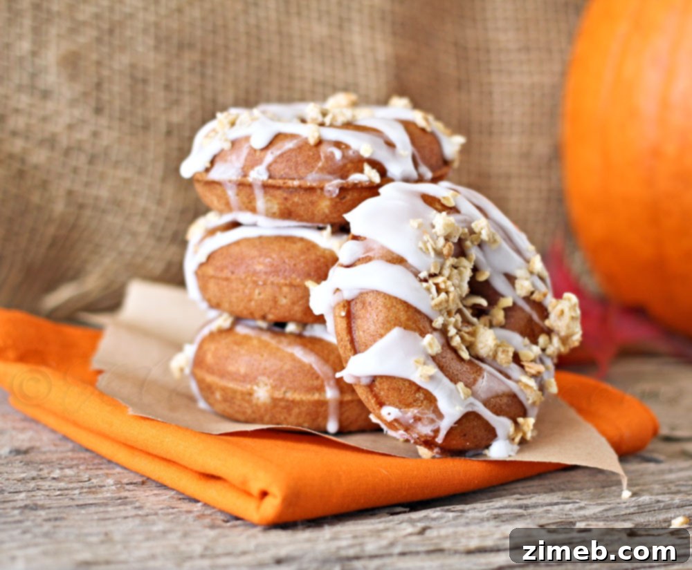 Pumpkin Butter Donuts