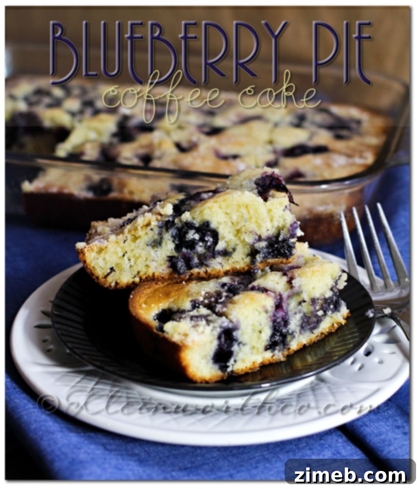 Scrumptious Blueberry Pie Coffee Cake