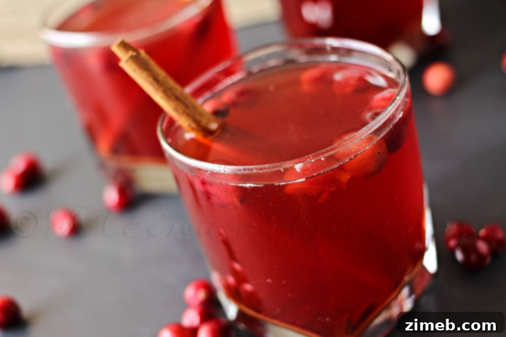 Crock Pot Cranberry Cider - A delicious hard cider made in the slow cooker. Perfect Thanksgiving drink, non-alcoholic or with a splash of rum!