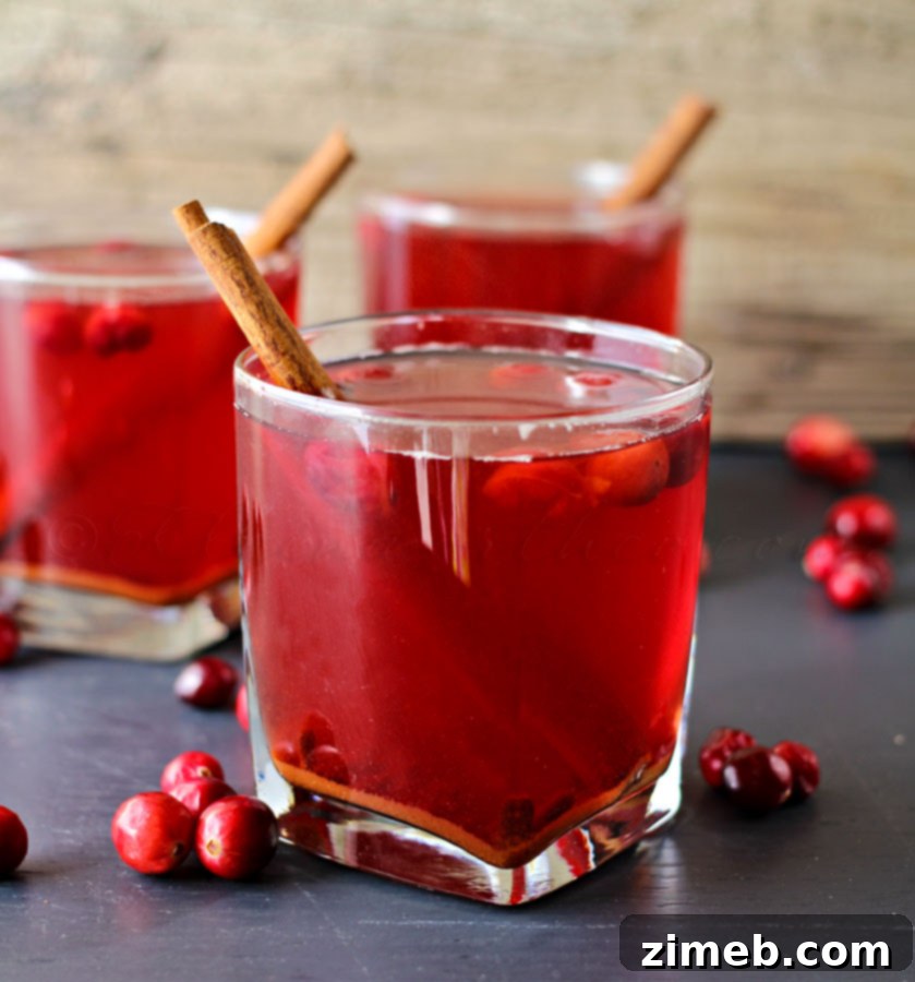 Crock Pot Cranberry Cider - A delicious hard cider made in the slow cooker. Perfect Thanksgiving drink, non-alcoholic or with a splash of rum!