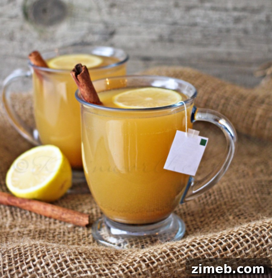 Gingered Cider Hot Toddie - a warm, spiced apple cider drink