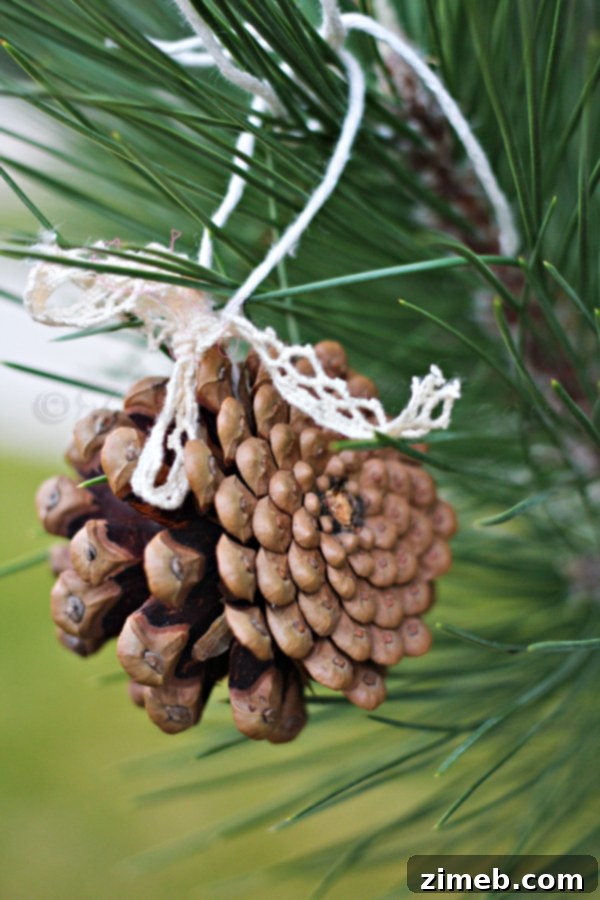 Effortless Pinecone Ornaments 3 Simple Pine Cone Ornaments - Step 2: Adding Lace Bow