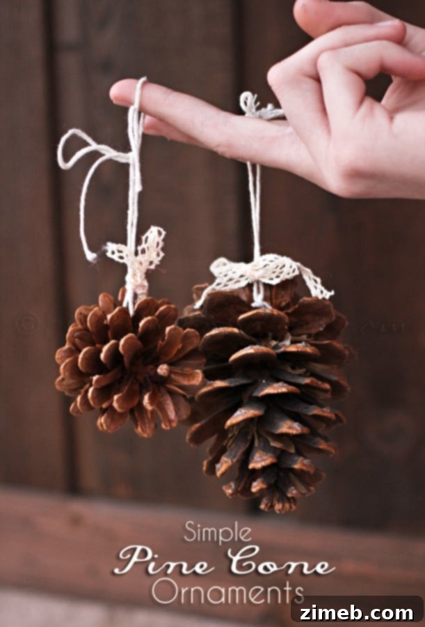 Effortless Pinecone Ornaments 4 Simple Pine Cone Ornaments - Finished Look