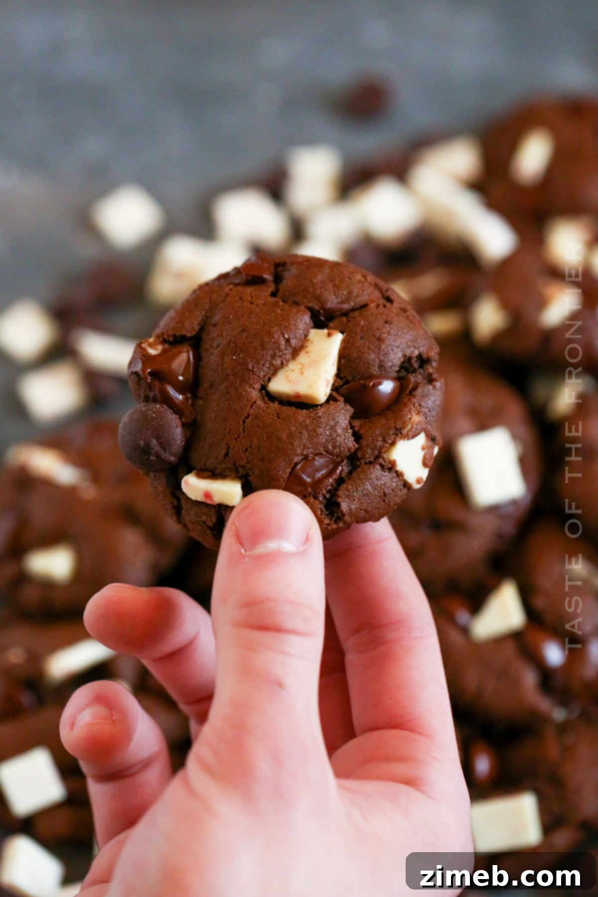 Perfectly Baked Peppermint Cookies for the Holidays