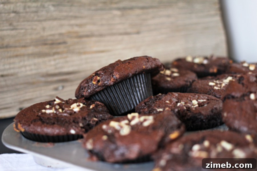 Chocolate Mint Muffins with a rich, brownie-like texture, garnished with extra mint pieces