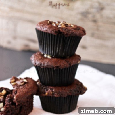 Chocolate Mint Muffins with a rich, brownie-like texture
