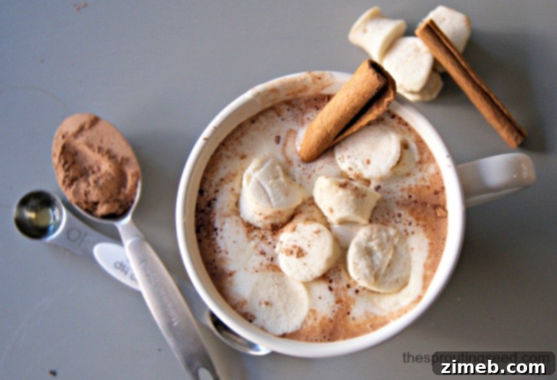 A rich and frothy mug of Authentic Mexican Hot Chocolate, adorned with a cinnamon stick and a sprinkle of cocoa powder, offering a comforting and spiced experience.