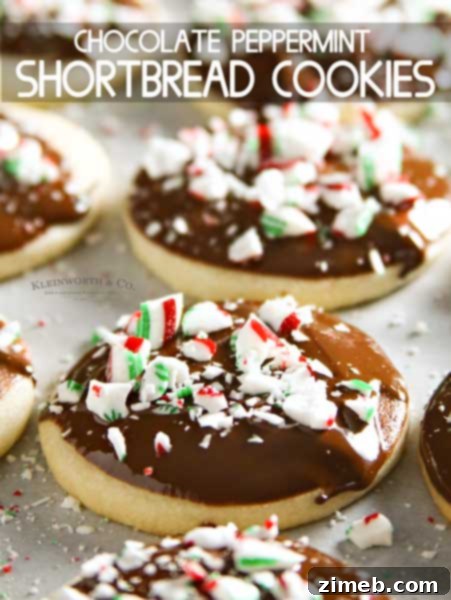 Rich Chocolate Peppermint Shortbread Cookies, ideal for holiday baking and gifting
