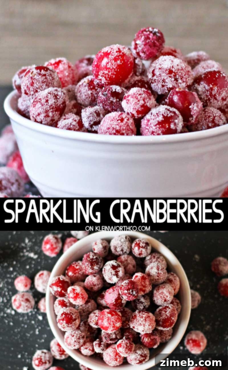 Scarlet Shimmer 2 Sparkling Cranberries - a delightful holiday treat