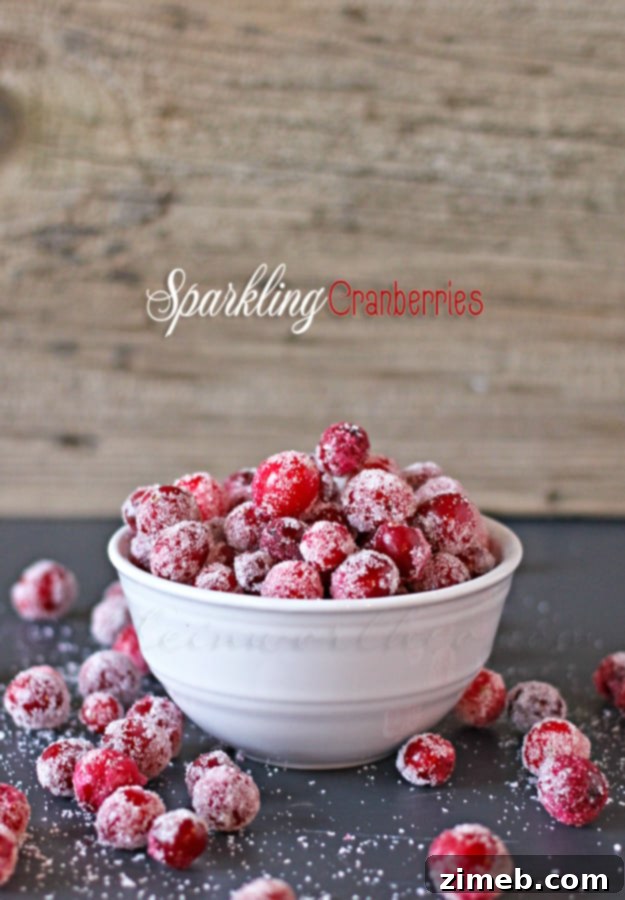 Scarlet Shimmer 14 Finished Sparkling Cranberries
