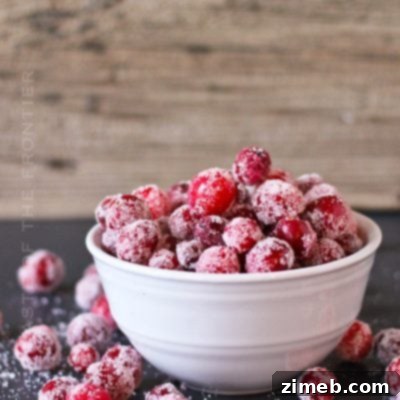 Sparkling Cranberries