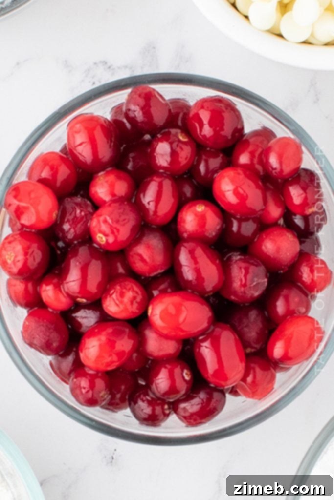 Scarlet Shimmer 3 Ingredients for Sparkling Cranberries
