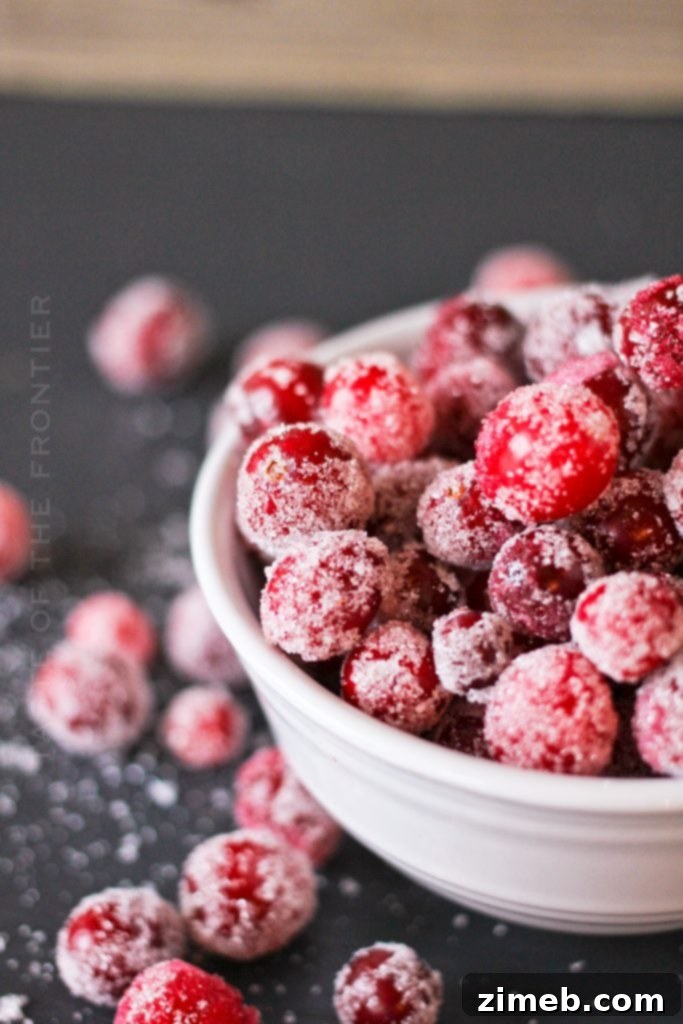 Scarlet Shimmer 6 Candied cranberries recipe for holiday decoration