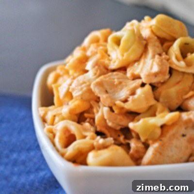 Creamy Vodka Chicken Tortellini 6 A vibrant and appealing image of the prepared Chicken Vodka Tortellini, glistening with sauce and ready to serve.