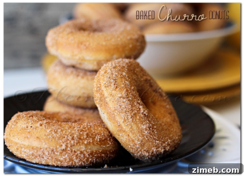 Bite-Sized Bliss: Top Mini Donut Recipes 5 Baked Churro Donuts - Cinnamon Sugar Delights
