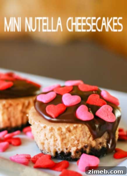 Cupid's Crimson Velvet Brownies 13 Nutella Mini Cheesecakes