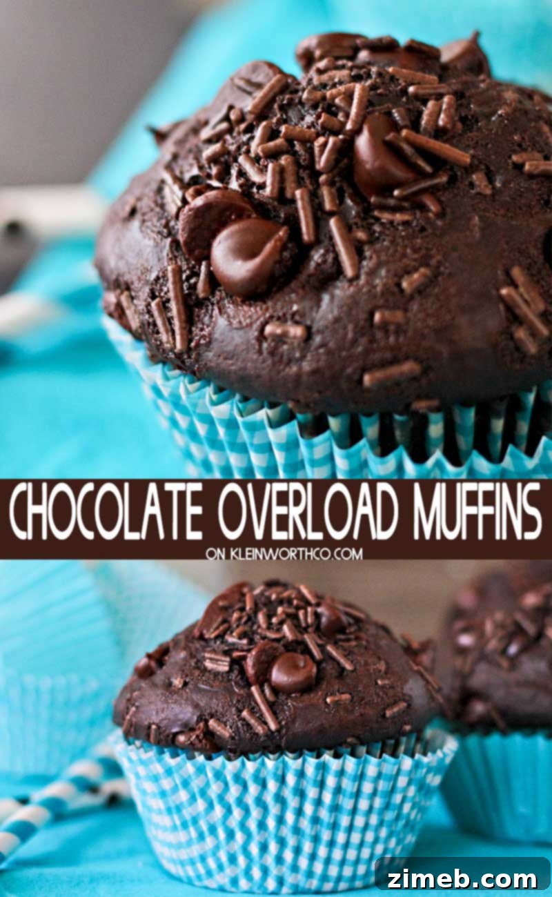 Ultimate Chocolate Muffins 2 Chocolate Overload Muffins - A double chocolate muffin recipe loaded with chocolate chunks, chocolate chips and chocolate sprinkles.