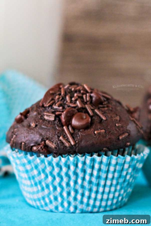 Ultimate Chocolate Muffins 3 Delicious Chocolate Overload Muffins with chocolate chips and chocolate chunks.