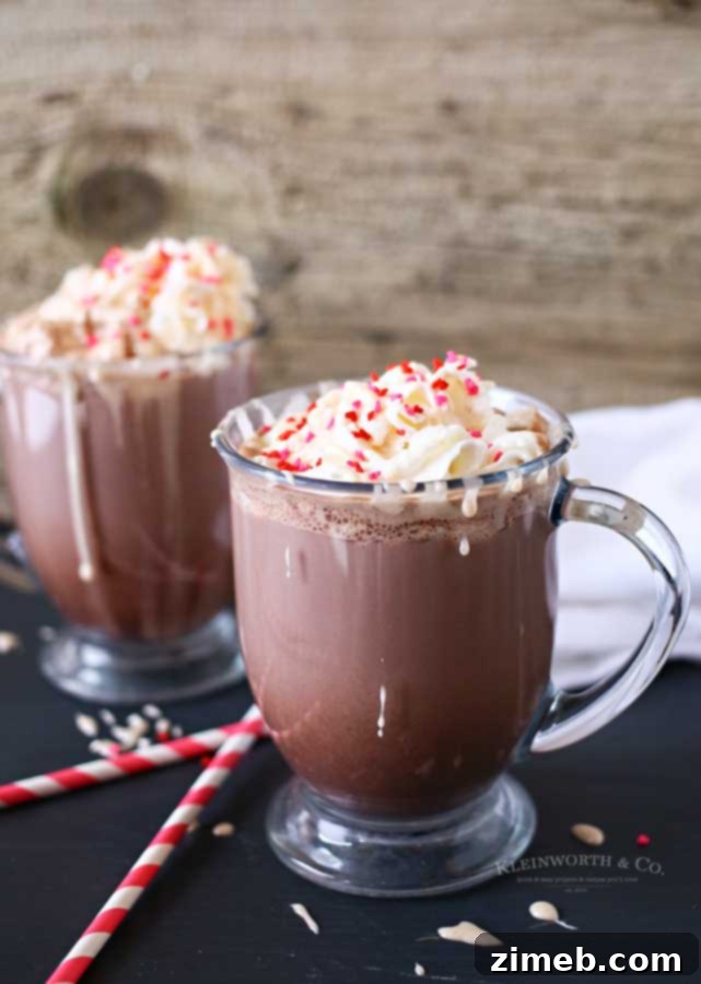 Cinnamon Swirl Hot Cocoa 4 Easy Cinnamon Roll Hot Chocolate recipe for winter