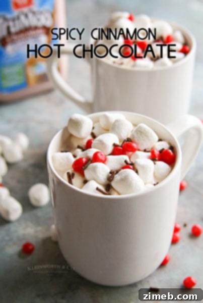 Cinnamon Swirl Hot Cocoa 7 Spicy Cinnamon Hot Chocolate - unique hot chocolate recipes