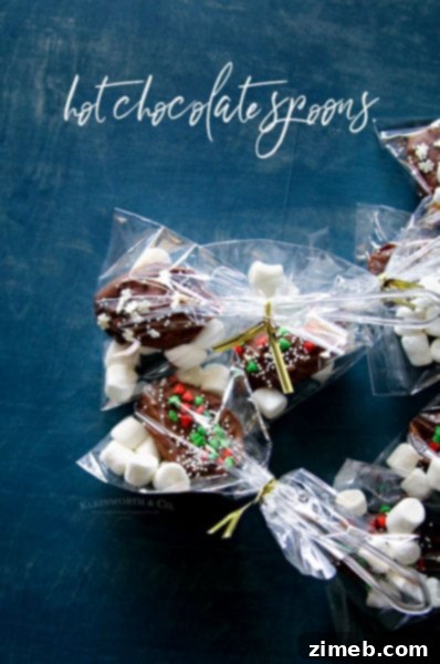 Cinnamon Swirl Hot Cocoa 9 Easy Hot Chocolate Spoons - quick hot chocolate ideas