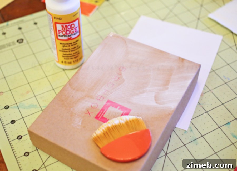 Decorated Dog Treats Box