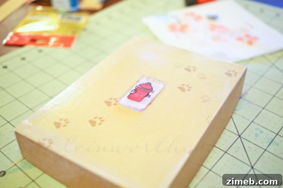 Decorated Dog Treats Box