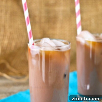 TruMoo Chocolate Marshmallow Iced Coffee 4 Chocolate Marshmallow Iced Coffee