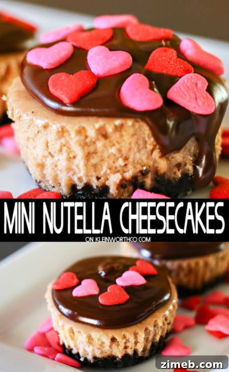 Nutella Mini Cheesecakes
