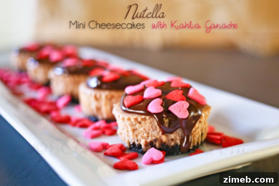 Nutella Mini Cheesecakes