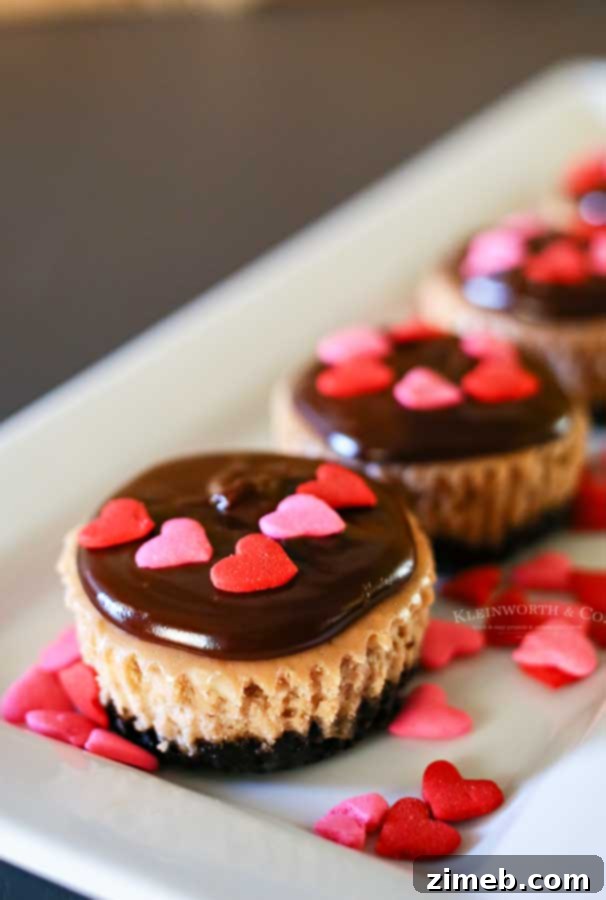 Nutella Mini Cheesecakes recipe